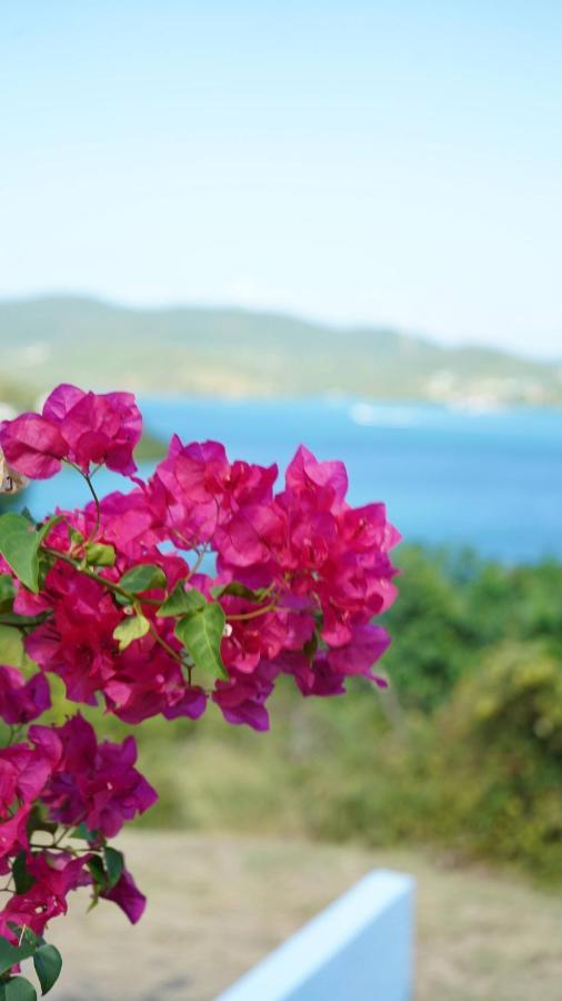 Coqui Beach Home, Culebra Isla Culebra Kültér fotó